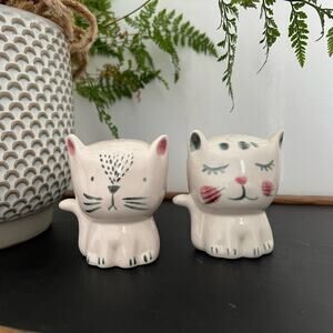 Boston Warehouse Cat Salt & Pepper Shakers- NIB